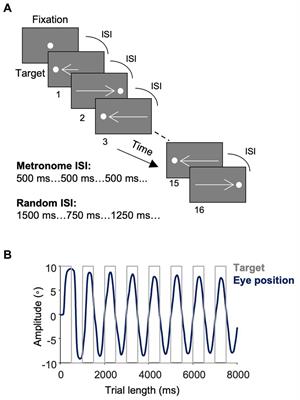 Motor synchronization and impulsivity in pediatric borderline personality disorder with and without attention-deficit hyperactivity disorder: an eye-tracking study of saccade, blink and pupil behavior